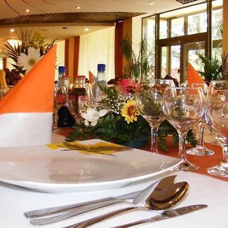 Western Silva Hotel